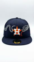 Houston Astros Snake
