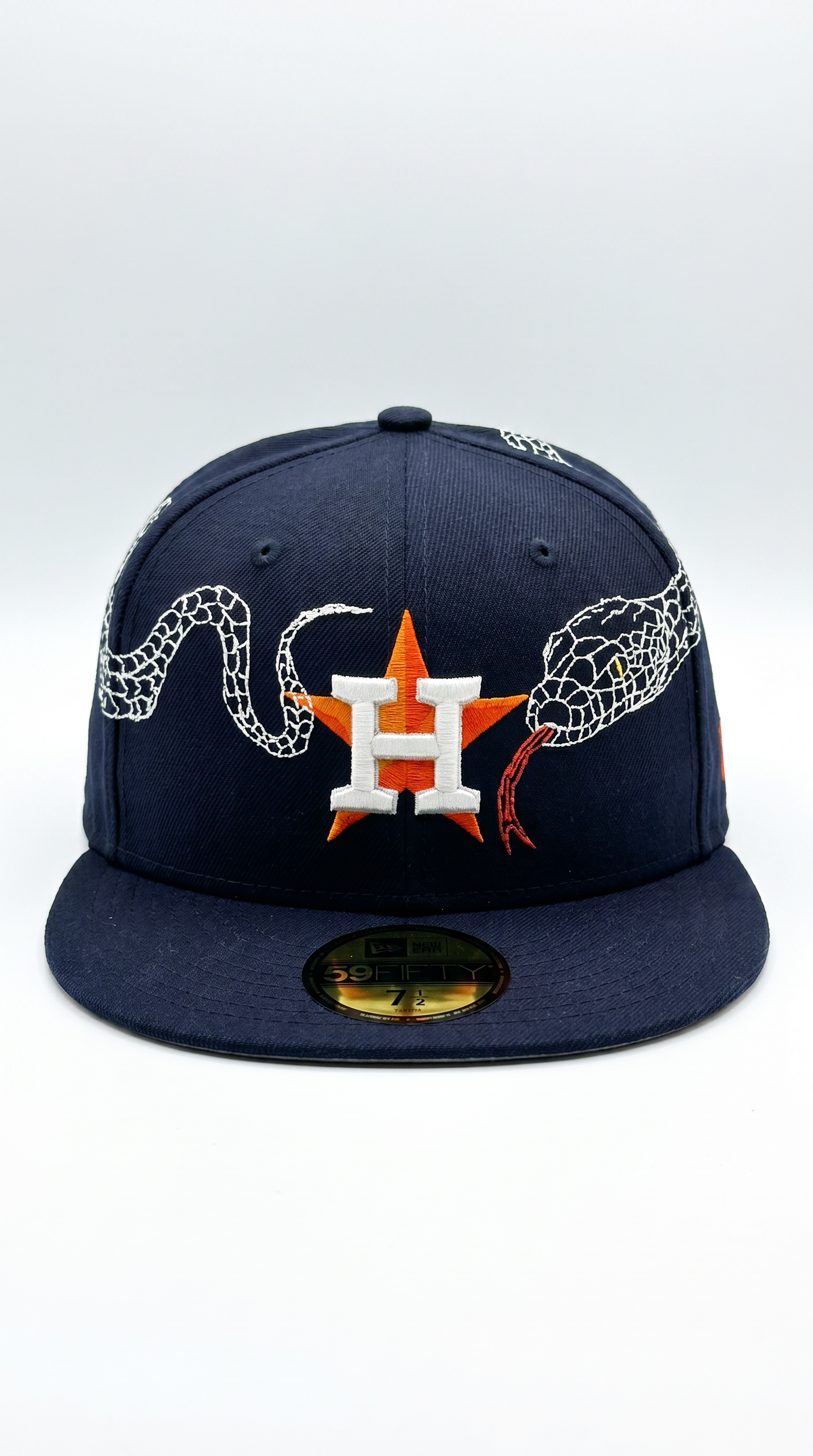 Houston Astros Snake